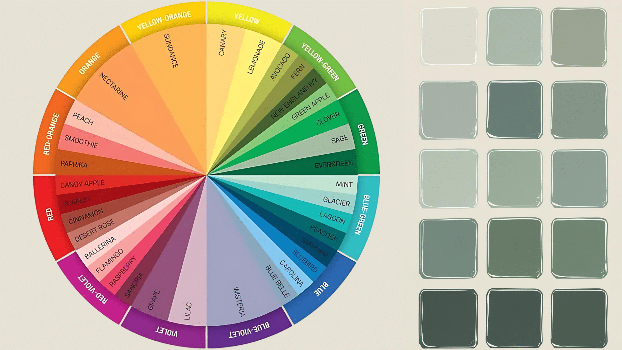 Understanding Sage Green on the Color Wheel
