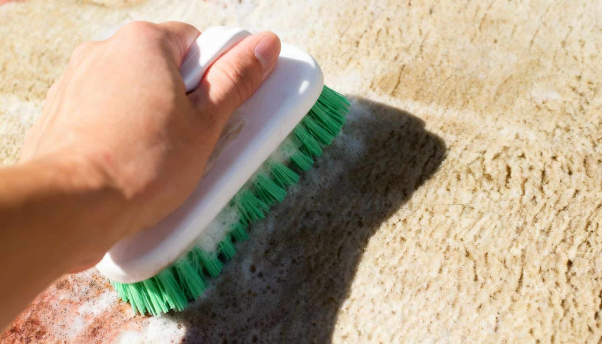 manual-scrubbing-method-for-cleaning-carpet