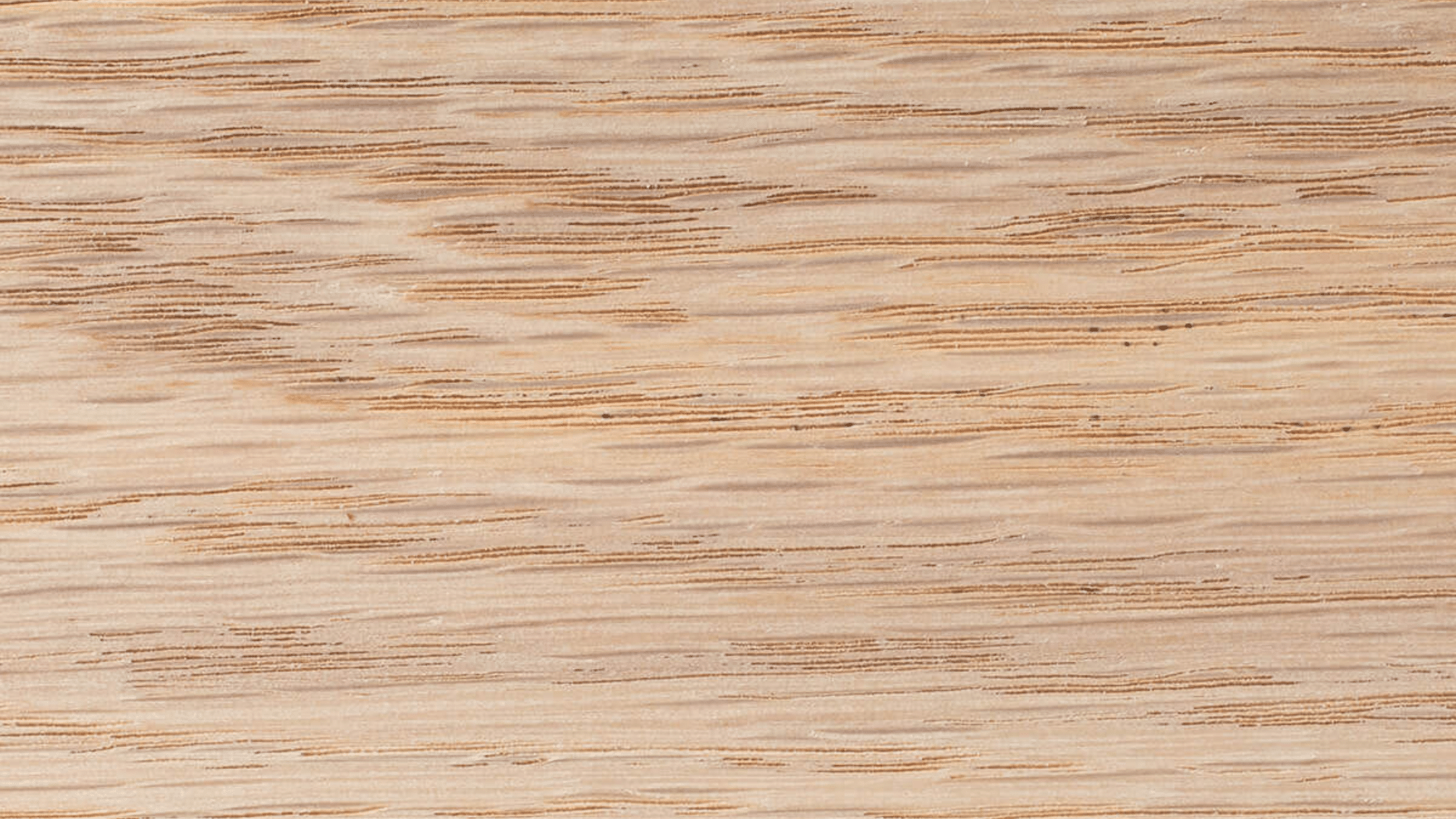american white oak (1)