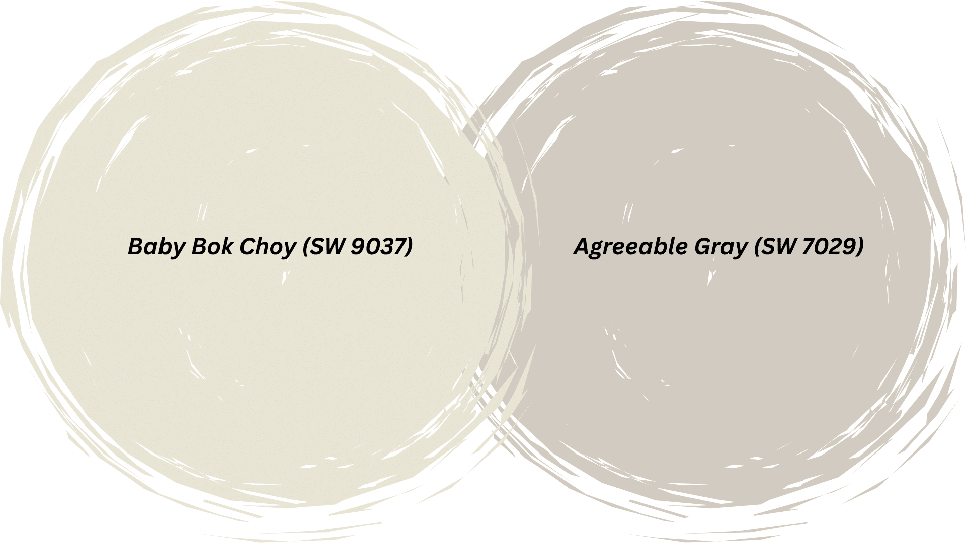baby bok choy and agreeable gray