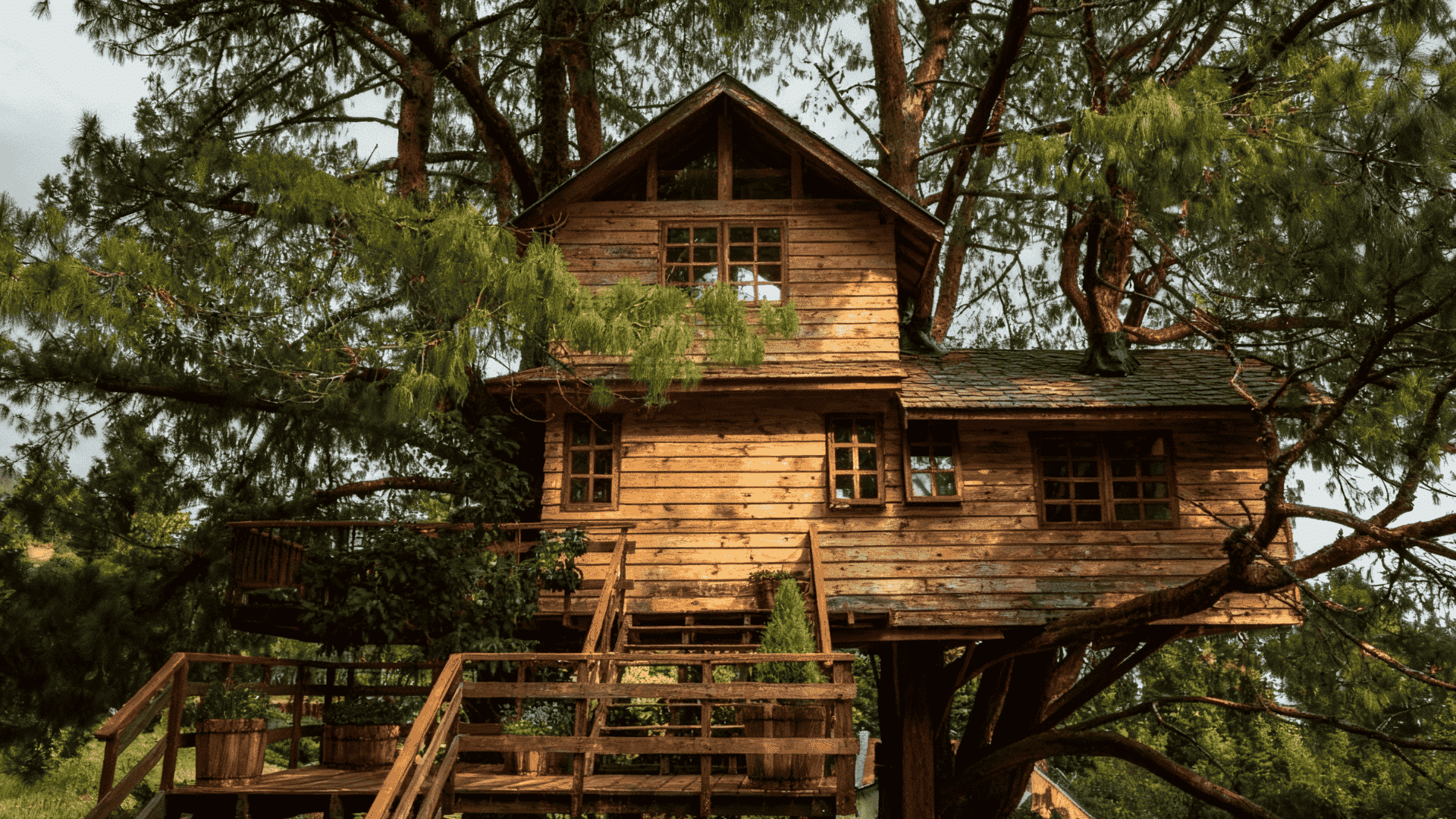 building a treehouse