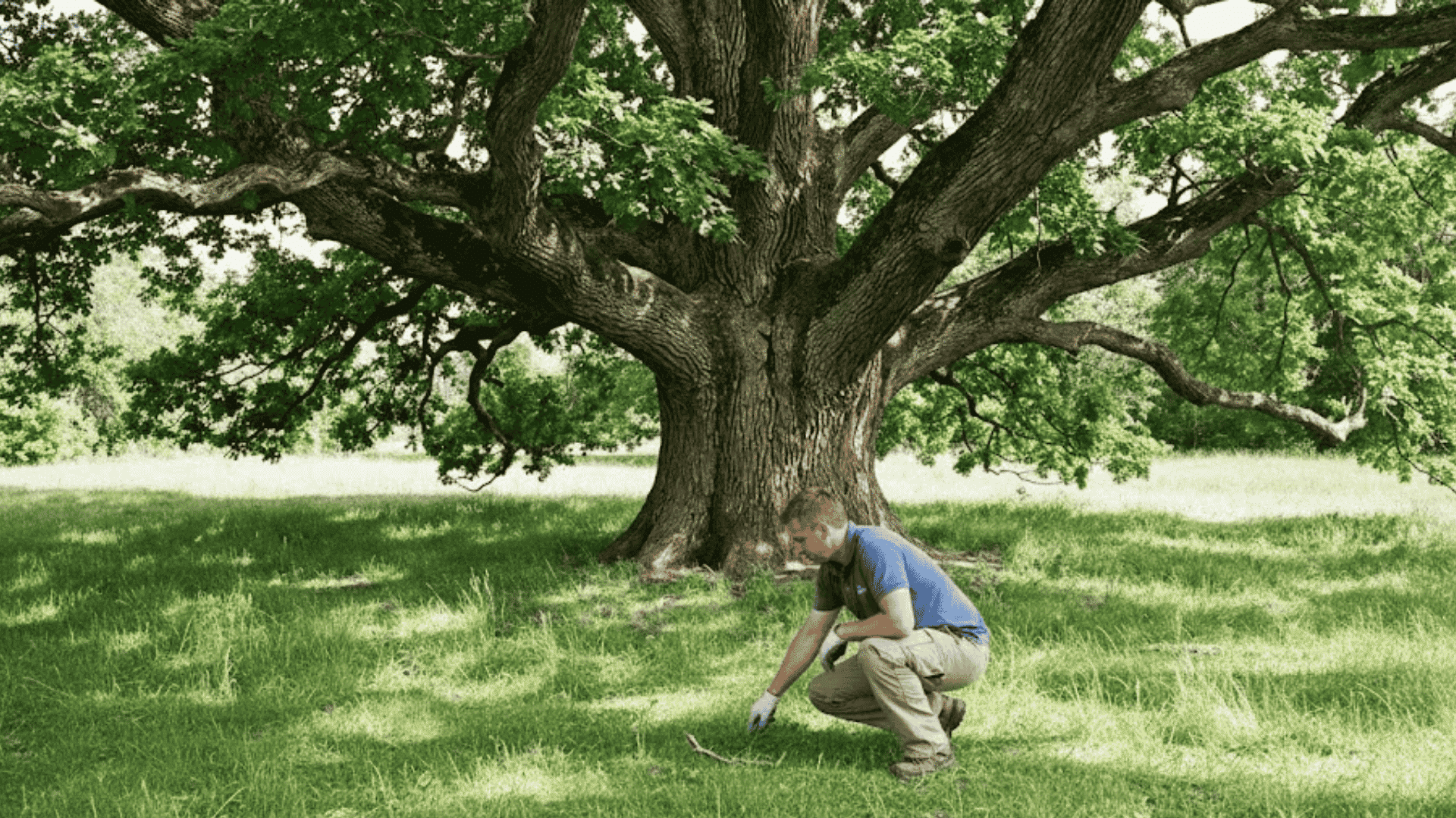 check the safety of the area