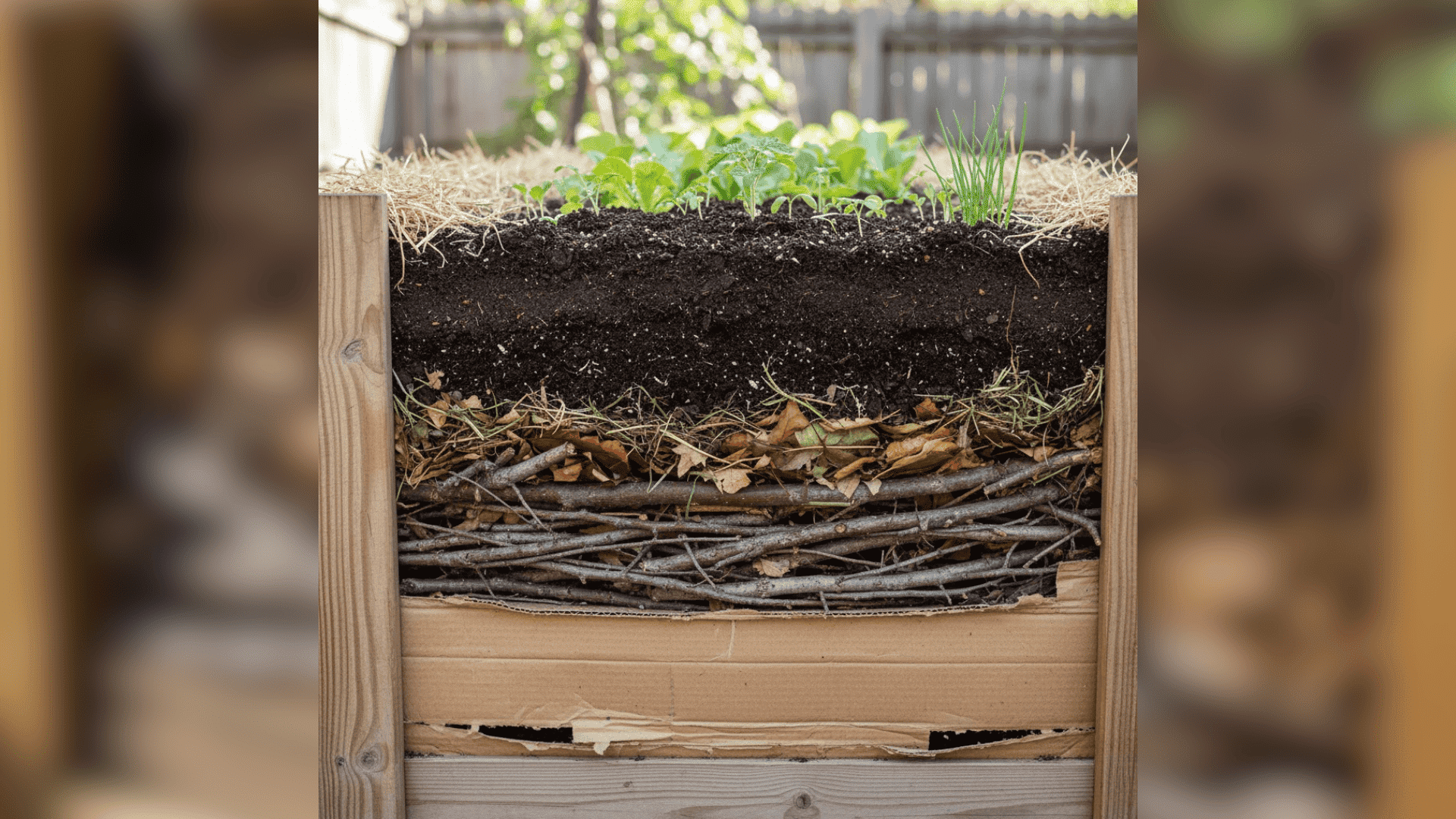 diy raised garden bed layers