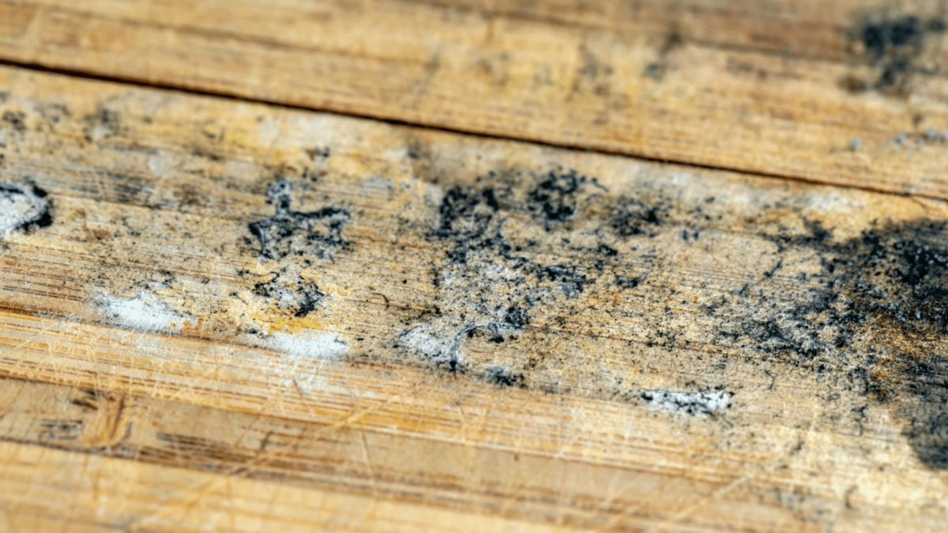 mold on wood furniture