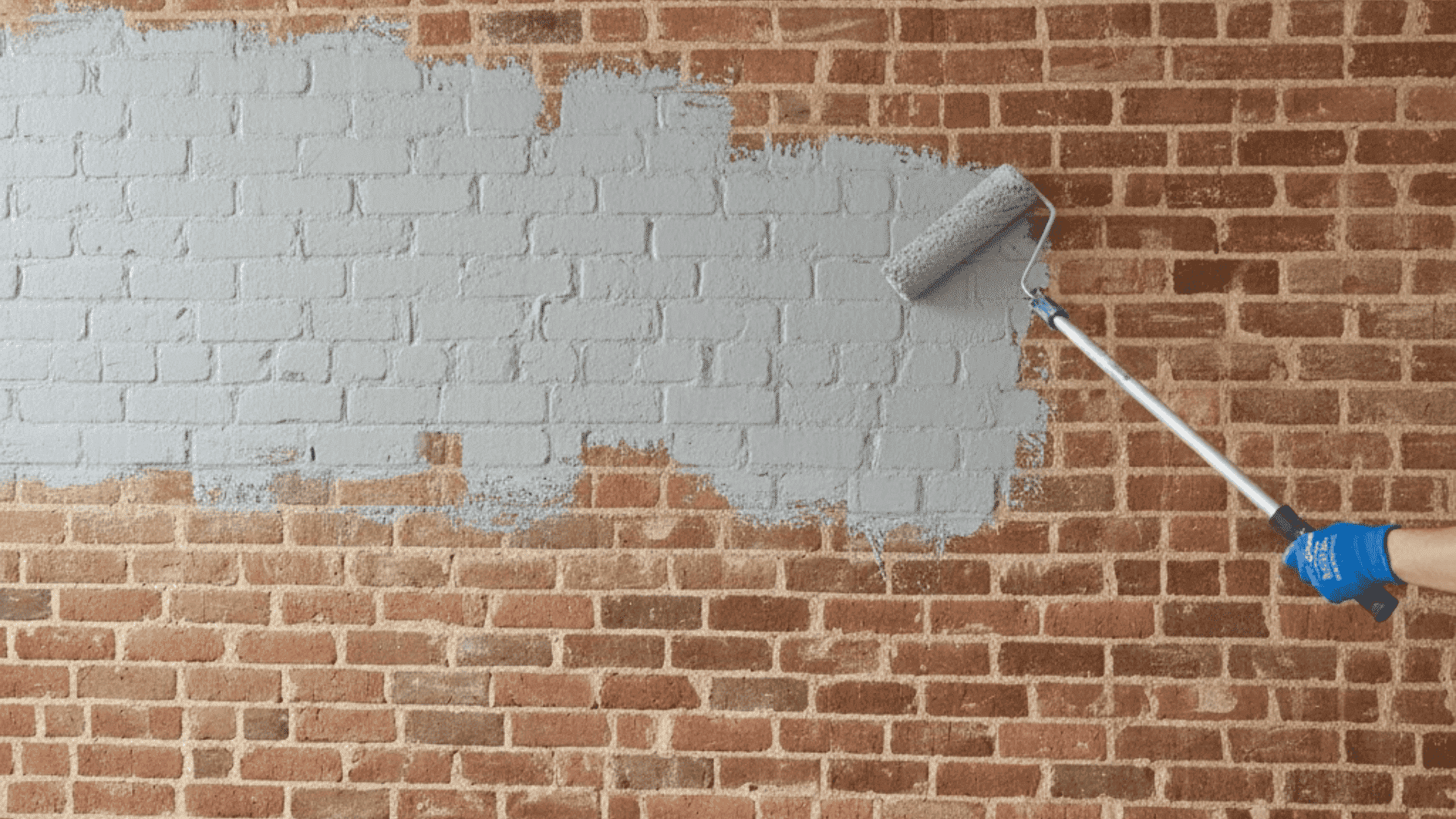 paint the first coat