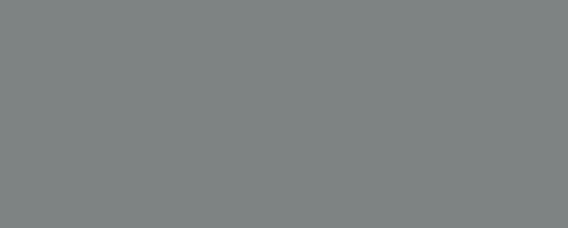 shark gray 2134 40