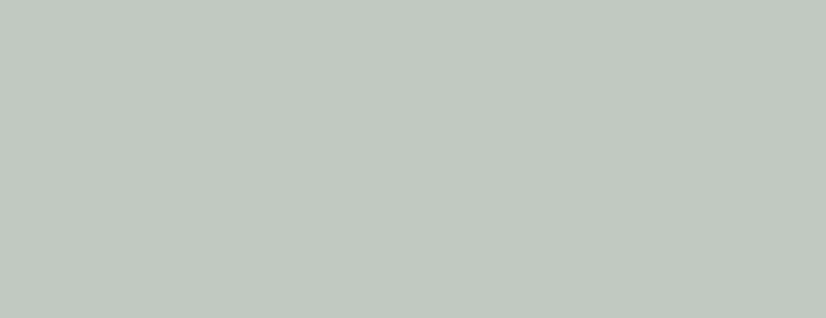 silver marlin 2139 50