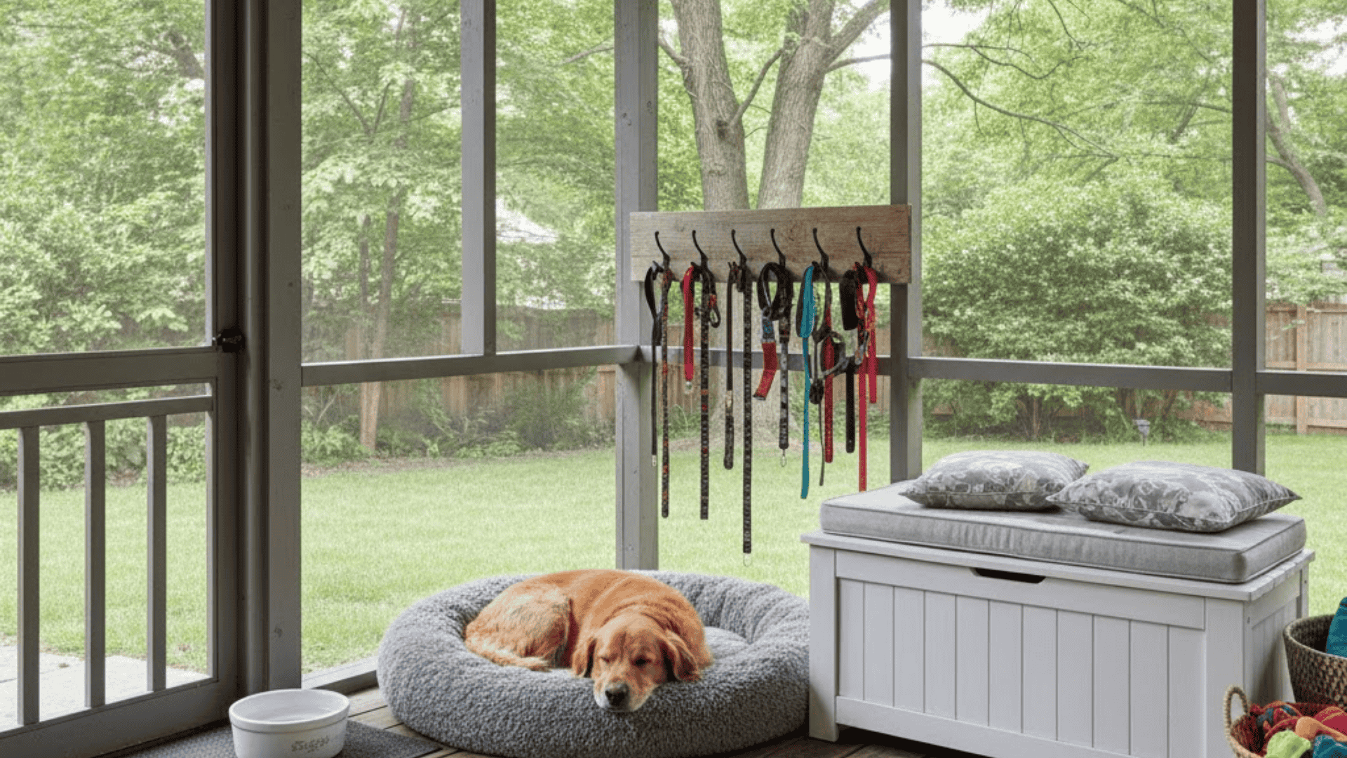 uniques dog room ideas