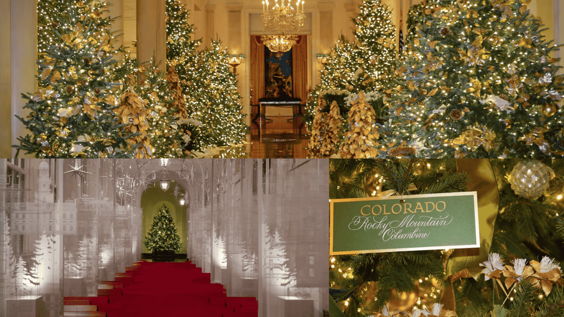 white-house-christmas-decoration-2019