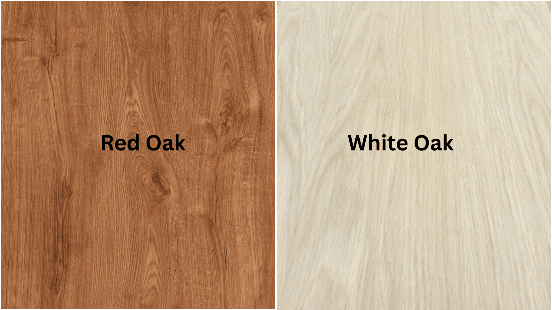 white oak vs red oak what are the differences