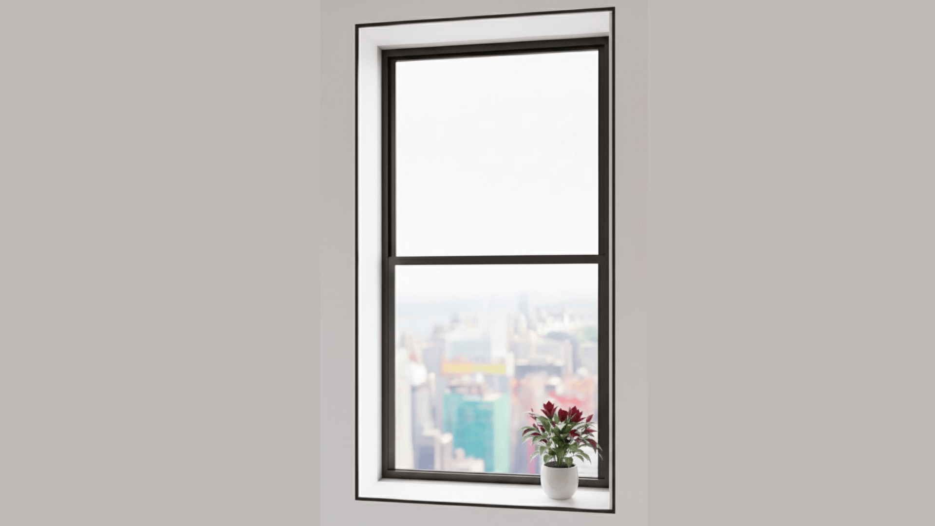 Minimalist black framed window with slim modern trim and small flower pot on white sill