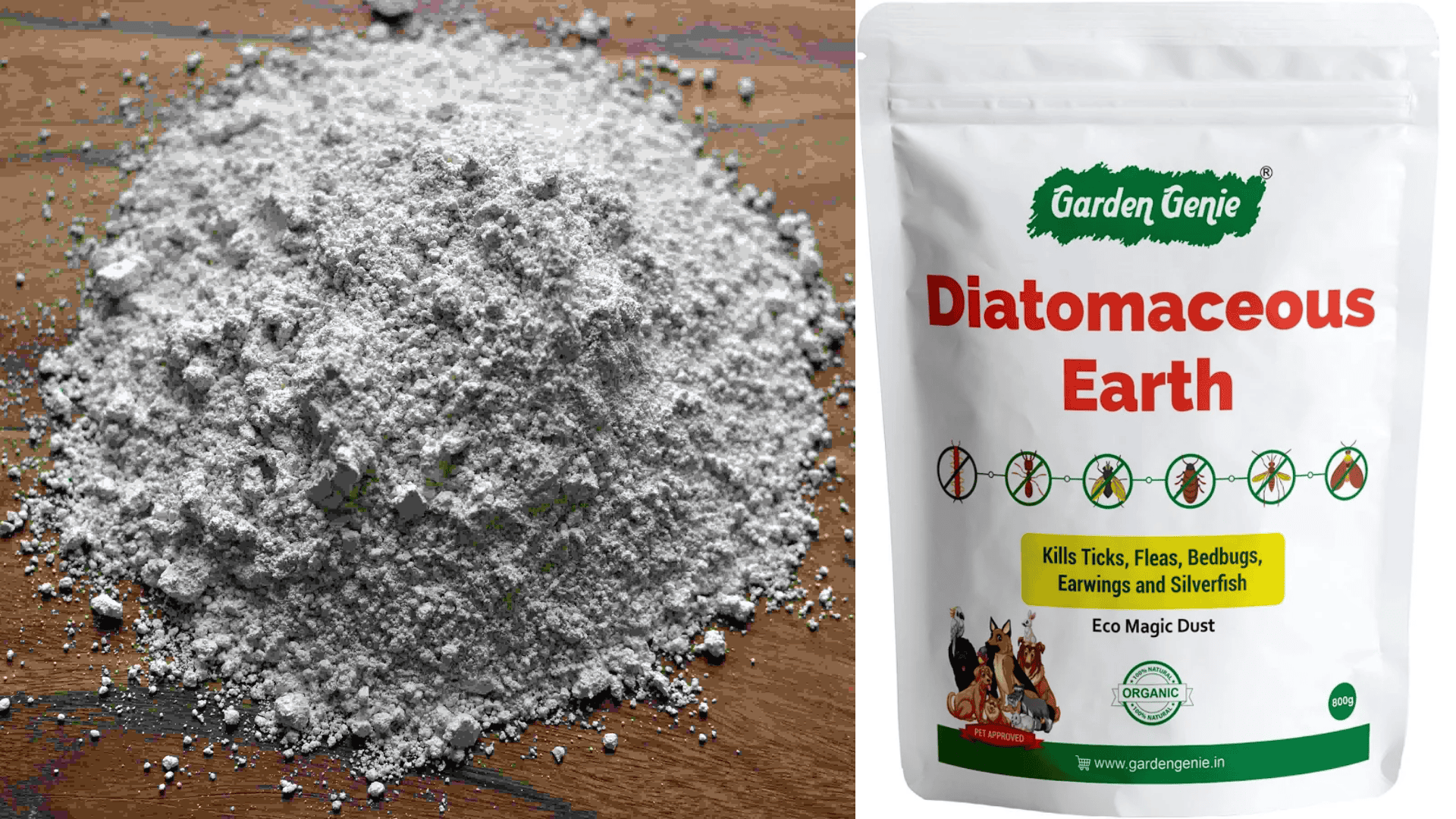 diatomaceous earth