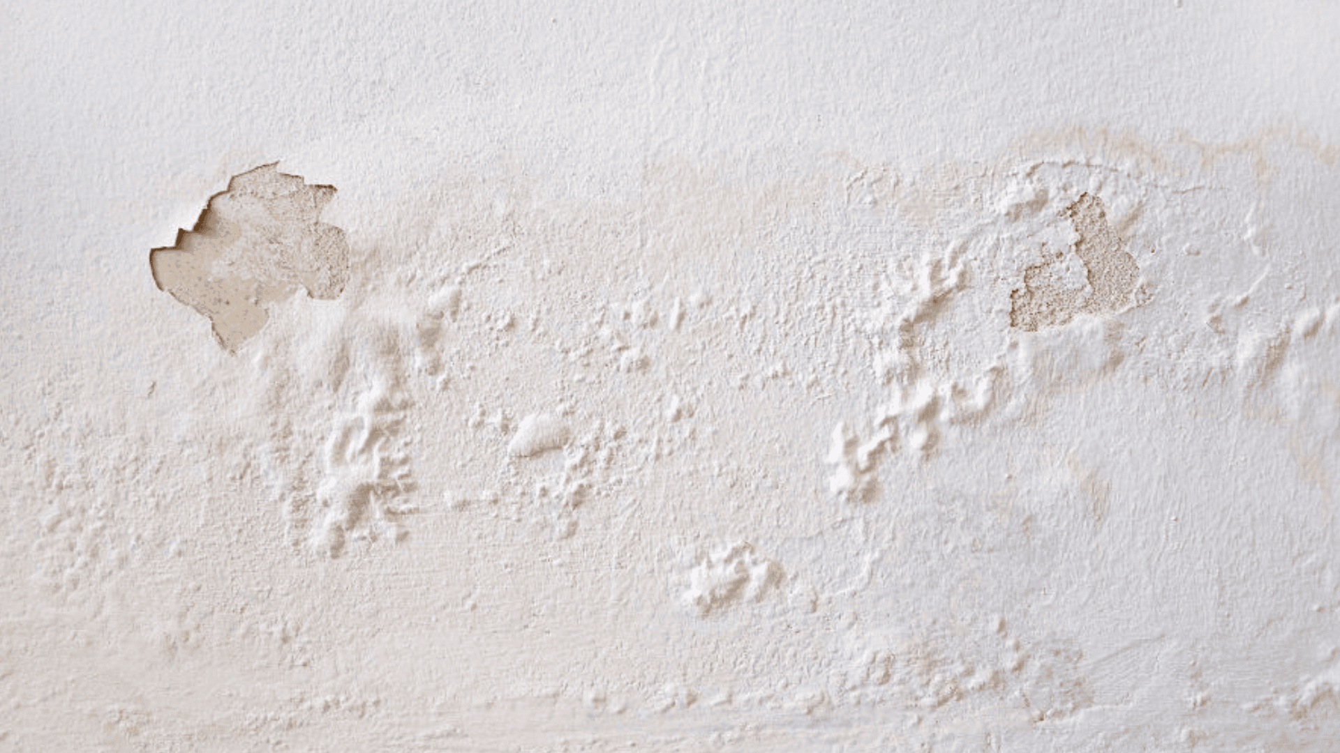 what causes paint to bubble on walls