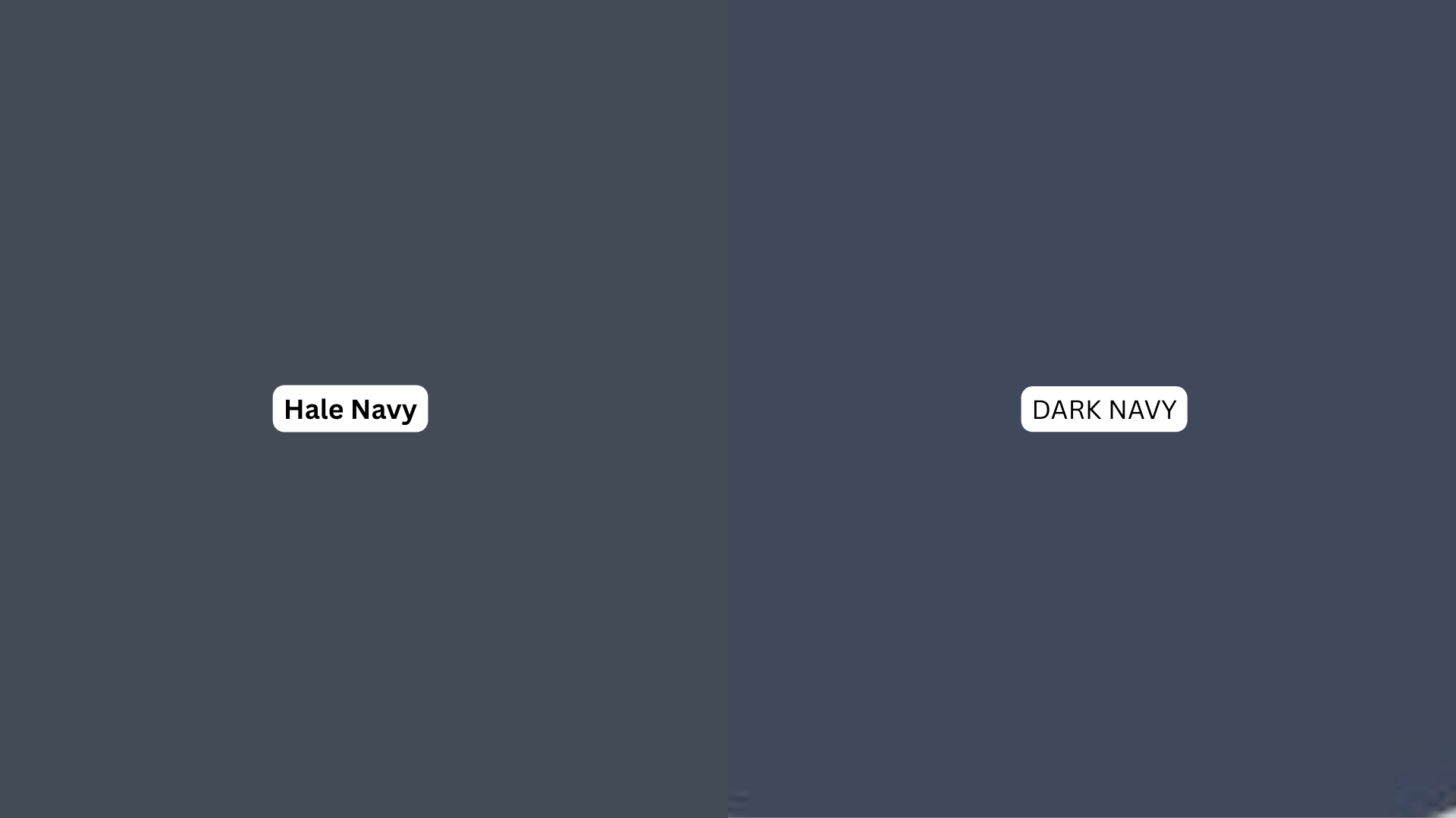 color lighter than hale navy