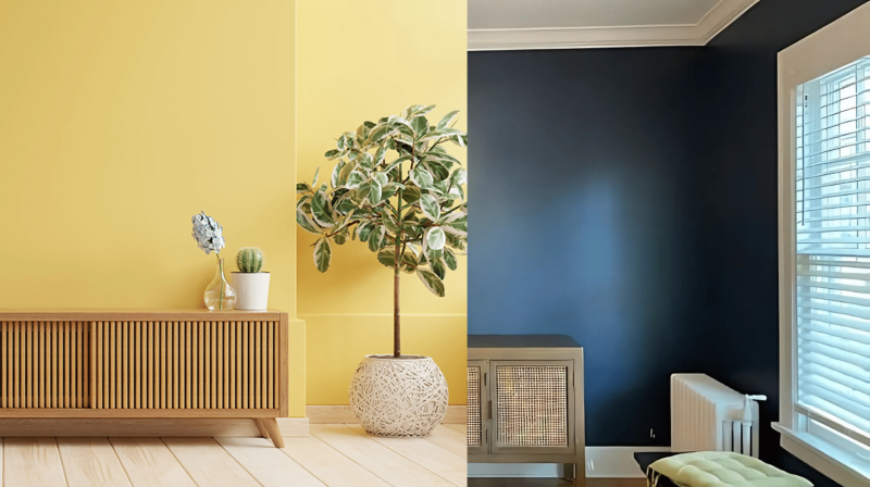 Flat vs Satin Paint: Which is Best for Your Walls?